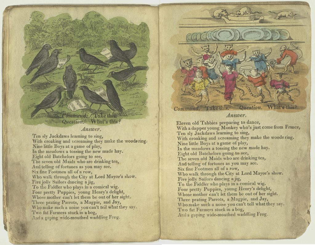 Verses for ten jackdaws and eleven tabbies