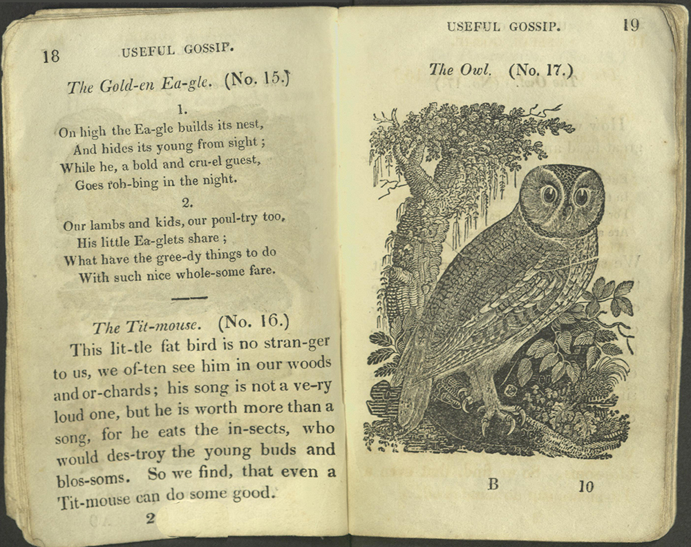 Text for Golden Eagle and Titmouse; image of owl